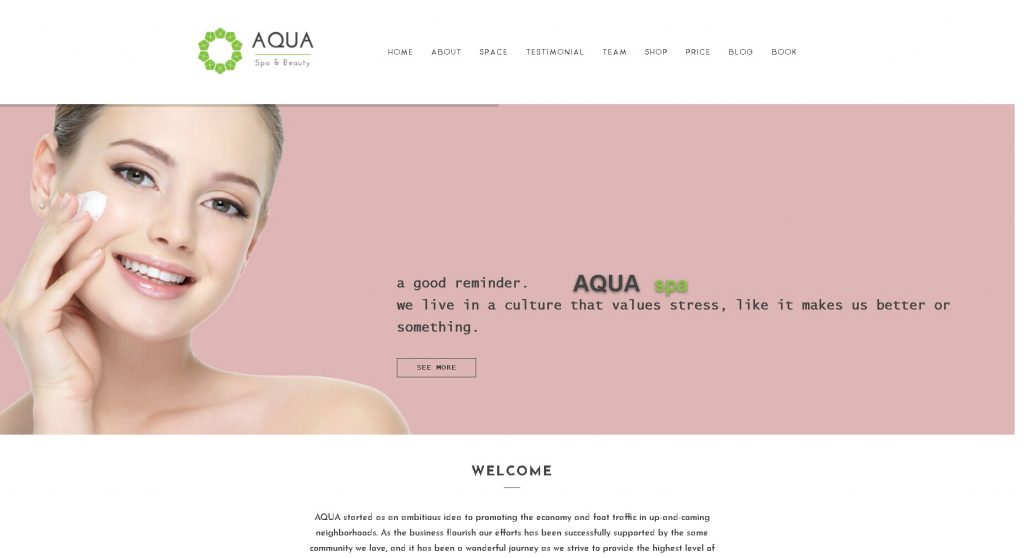 trang website spa mẫu Aqua