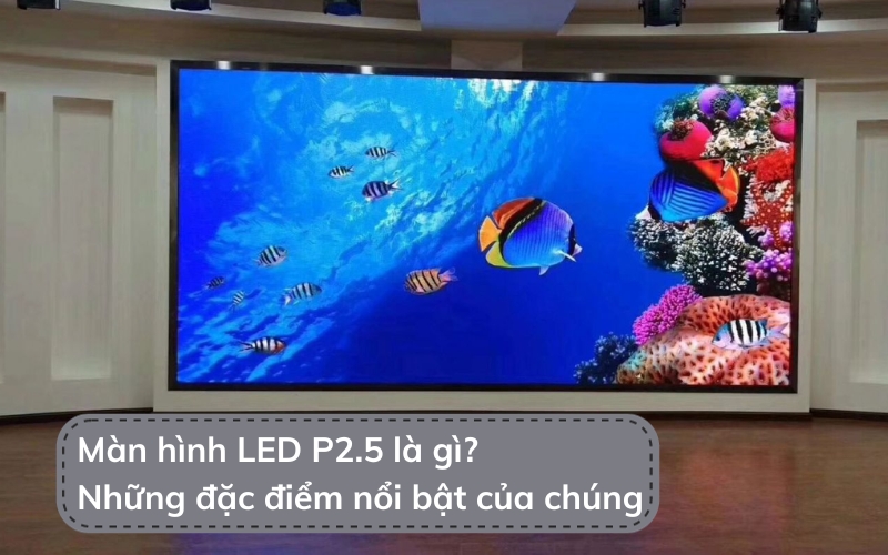 màn hình led p2.5 là gì