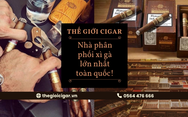 Địa chỉ cung cấp xì gà chất lượng Thế Giới Cigar