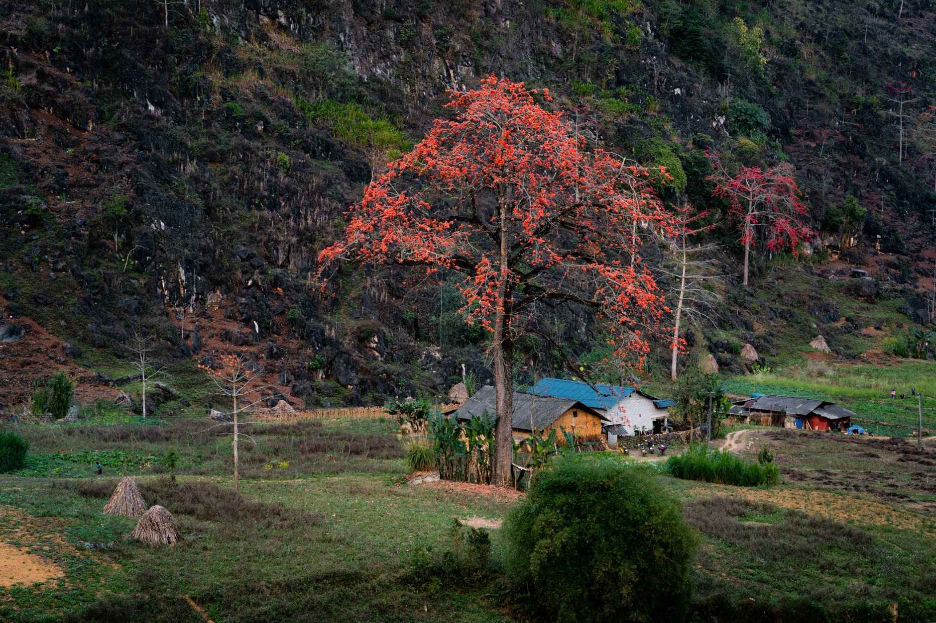 Ha Giang Loop: Trải Nghiệm Thư Giãn Tinh Thần Đáng Thử